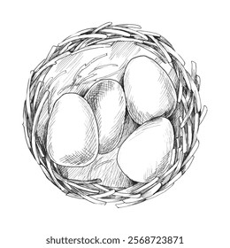 Hand drawn bird's nest with eggs. Vector Easter illustration in graphic