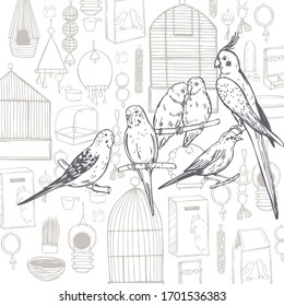 Hand drawn birds. Parrots and canaries. Vector sketch  illustration.