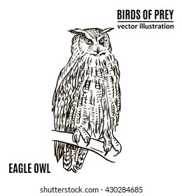 Hand drawn birds of prey. Eagle owl. Vector illustration
