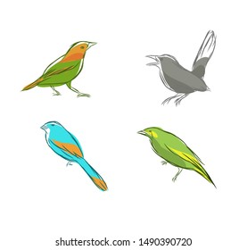 Hand drawn of birds set template