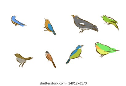 Hand drawn of birds set template