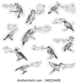 Hand drawn Birds with Signs - for design and scrapbook - in vector