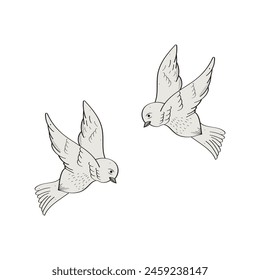 Hand Drawn Birds Vector Design.