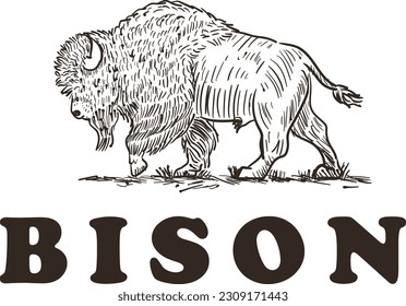 Hand drawn bison logo design for any purpose