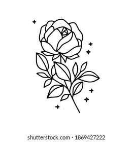 Hand drawn black botanical rose flower and floral leaf branch line art element for wedding invitation card, icon, logo, symbol, feminine brand, beauty product, and decoration