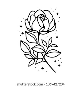 Hand drawn black botanical rose flower and floral leaf branch line art element for wedding invitation card, icon, logo, symbol, feminine brand, beauty product, and decoration