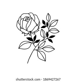 Hand drawn black botanical rose flower and floral leaf branch line art element for wedding invitation card, icon, logo, symbol, feminine brand, beauty product, and decoration