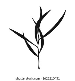 Hand drawn black branch. Elegant design element on white background. Vector illustration. Isolated plant.