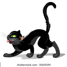 Hand drawn black cat