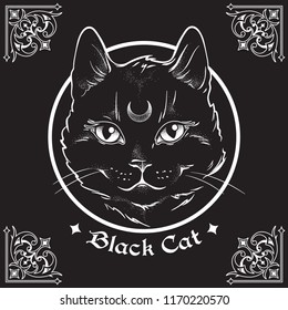 Hand drawn black cat with moon on his forehead in frame over black background and ornate gothic design elements. Wiccan familiar spirit, pagan witchcraft theme vector illustration