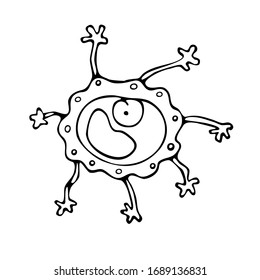 Caricatura de cómic dibujada a mano, ilustración de contorno vectorial aislada en un fondo blanco