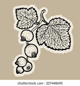 Hand drawn black currant cartoon vector.