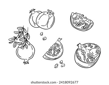 Doodle negro dibujado a mano con granada. Borde negro esquemático, fruta completa y piezas sobre fondo blanco. Concepto de alimentos saludables. Ideal para colorear páginas, tatuajes, patrones