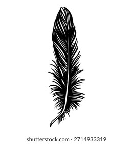 Vector de plumas negro dibujado a mano
