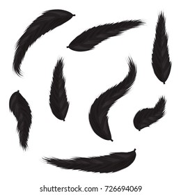 Hand drawn black feathers set isolated on white background, vector illustration. Different shapes and forms.