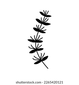 Hand drawn black floral elements on the white background. Floral decorative using for decoration of text, cards, invitation. Sketch of leaves and flowers.