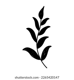 Hand drawn black floral elements on the white background. Floral decorative using for decoration of text, cards, invitation. Sketch of leaves and flowers.