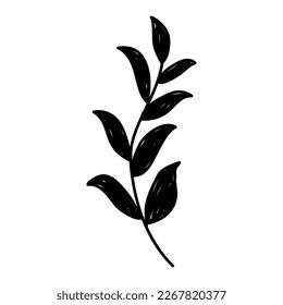 Elementos florales negros dibujados a mano sobre el fondo blanco. Decoración floral para la decoración de texto, tarjetas, invitación. Esbozo de hojas y flores.