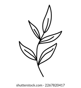 Hand drawn black floral elements on the white background. Floral decorative using for decoration of text, cards, invitation. Sketch of leaves and flowers.