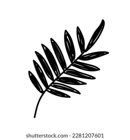 Hand drawn black floral elements on the white background. Floral decorative using for decoration of text, cards, invitation. Sketch of leaves and flowers.