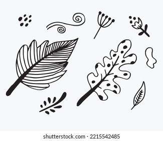Hand drawn black floral elements.flower and branches doodle.