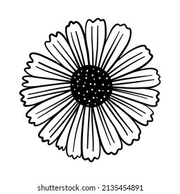 Flor negra dibujada a mano. Chamomile de arte de línea