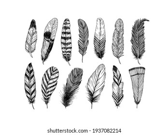 Hand drawn black fluffy feathers. Vector black and white ink sketch illustration. Ethnic boho style hand drawing. Rustic feathers collection. Realistic graphic style with scratched lines.