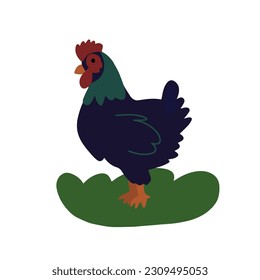 hand drawn black and green rooster in the clearing
