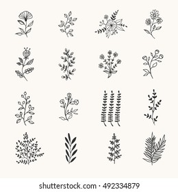 Hand drawn black herbs and flowers for design banners and labels. Vector illustration. Isolated.