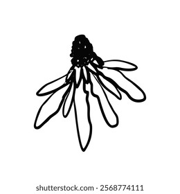 Hand drawn black ink abstract daisy flower isolated on white background. Monochrome scribble style bloom. Sketchy minimalist floral design.