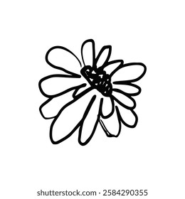 Hand drawn black ink abstract daisy flower isolated on white background. Monochrome scribble style bloom. Sketchy minimalist floral design.