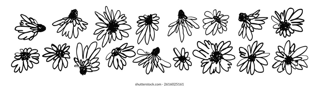 Hand drawn black ink abstract wild flowers set isolated on white background. Monochrome scribble style daisy blooms bundle. Sketchy minimalist floral designs collection.