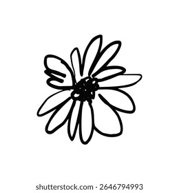 Flor de margarita abstracta de tinta negra dibujada a mano aislada sobre fondo blanco. Floración de estilo garabato monocromo. Diseño floral minimalista.