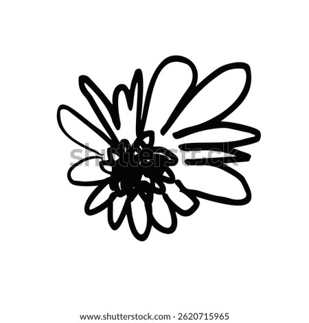 Hand drawn black ink abstract daisy flower isolated on white background. Monochrome scribble style bloom. Sketchy minimalist floral design.