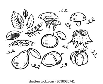 Hand drawn black ink autumn fall doodle elements. Vector art illustration