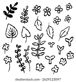 Folhas de flor de tinta preta desenhadas à mão