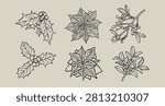 Hand drawn black ink outline set of winter botanical elements. Cozy doodle sketches of christmas holly, mistletoe and poinsettia flowers. Vector graphic collection for elegant seasonal holiday print.