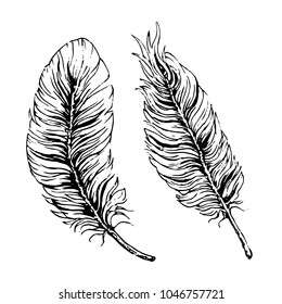 Hand Drawn Black Ink Vector Feathers Stock Vector (Royalty Free ...