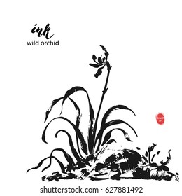 Hand drawn black ink wild orchid flower on a rock. Traditional dry calligraphic brush painting.