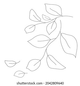 Handgezeichnete schwarze Blätter und Äste einzeln auf weißem Hintergrund. Vektorgrafik.