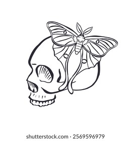 Hand drawn black line art sketch of human skull with luna moth sitting on top isolated on white background. Monochrome Bohemian skeleton head with butterfly design