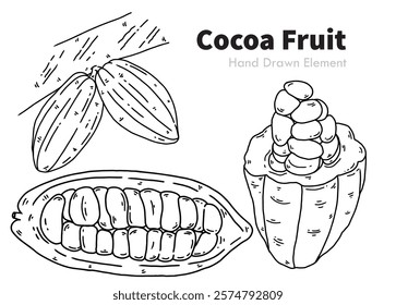 Hand drawn black line drawing of cocoa fruit, easy to edit, fruit vector, coloring page, ornament design, agricultural produce, packaging, fruits, fresh, sketch, line art, health