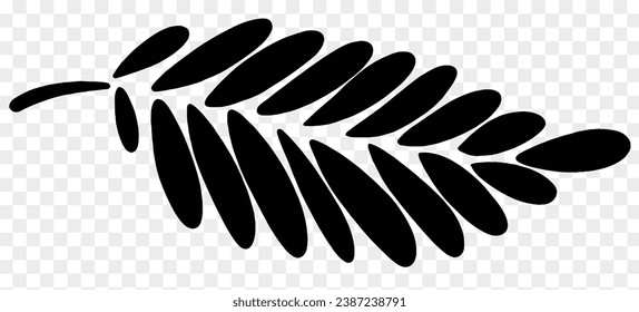 Hand drawn black line leaf isolated  on png background for Thanksgiving elements