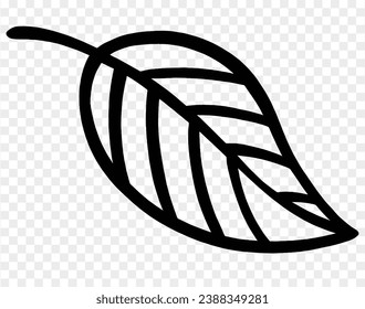 Hand drawn black line leaf isolated  on png background for Thanksgiving elements