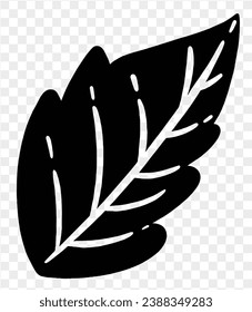 Hand drawn black line leaf isolated  on png background for Thanksgiving elements