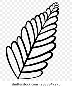 Hand drawn black line leaf isolated  on png background for Thanksgiving elements