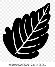 Hand drawn black line leaf isolated  on png background for Thanksgiving elements