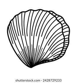 Hand Drawn black line mollusk on white background