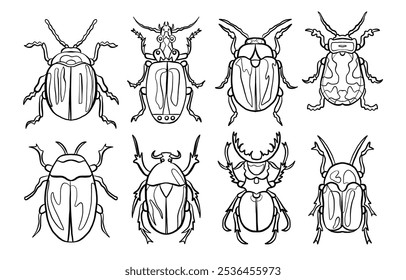 Hand Drawn Black Line Tropical Bug Icon Set Isolated on White. Doodle Vector Illustration