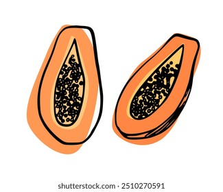 Dibujado a mano marcador negro dibujo de papaya cortado por la mitad. Ilustración de comida de Vector sobre fondo aislado blanco. Simple esquema de una línea para el diseño de envases de papel, tela, recetas culinarias.